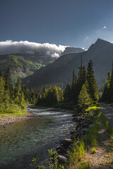 A stream of water in Glacier National Park, Montana