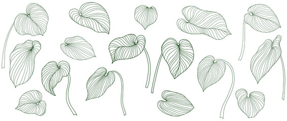 Tropical leaves isolated on white. Hand drawn png illustration.