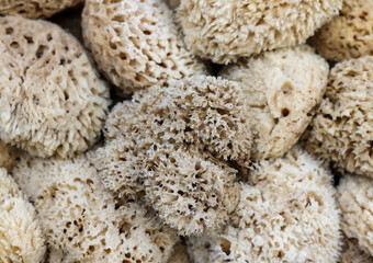 Natural sponges in local market. Rethymnon, Crete , Greece