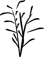 plant line art png