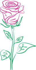 pink rose flower  png 03