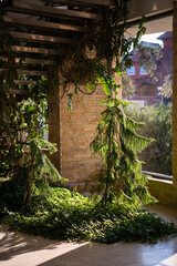 An indoor garden. House stairs decorated with plants. Fresh natural background.