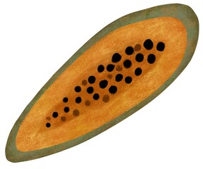 Papaya isolated on white background. Png illustration