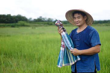 Asian man farmer is at paddy field, wears hat, blue shirt, holds Thai loincloth scarf to wipe sweat during working. Concept : Agriculture occupation. Countryside lifestyle. Hardworking. - obrazy, fototapety, plakaty