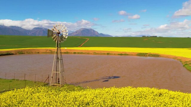 Aerials of Canola Lands and Windmill