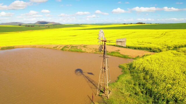 Aerials of Canola Lands and Windmill