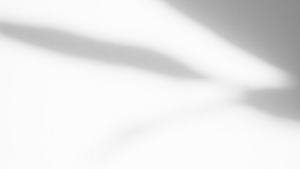 Blur Overlay Shadow Leaves Background,Abstract Sunlight effect Nature on Gray Cement Backdrop,Mock Up Display Free Space for add Products presentation,Structure Concrete Material Floor Construction.