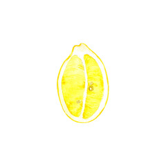Watercolor yellow lemon slice fruit illustrations. Watercolor hand-drawn fruit lemon isolated of background. Organic healthy food for your design and decor