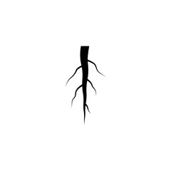 root vector logo