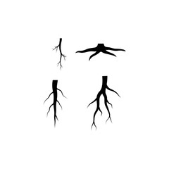 root vector logo