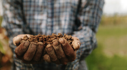 Hands of the gardeners are grabbing the soil to plant the trees..