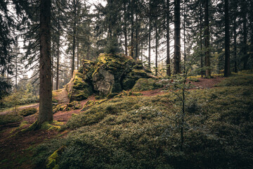 Der Bayerische Wald zum Herbstanfang mit grünem Wald und Bäumen. Bayern Deutschland