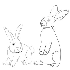 Obraz premium rabbits sketch ,outline icon isolated vector