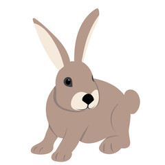 Fototapeta na wymiar rabbit, hare on white background, isolated