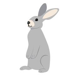 rabbit, hare on white background, isolated vector