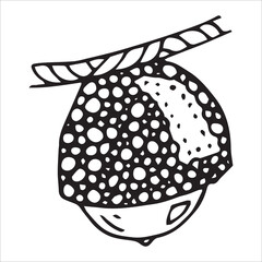 Vector hand drawn acorn illustration. Autumn botany sketch clipart.
