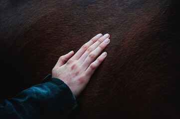 hand on a horse