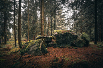 Der Bayerische Wald zum Herbstanfang mit grünem Wald und Bäumen. Bayern Deutschland