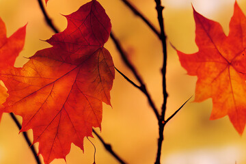 Fall Tree Leaves Autumn Color Seamless Texture Pattern Tiled Repeatable Tessellation Background Image