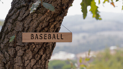 baseball . Written on wooden surface. Background tree leaves. health and sport