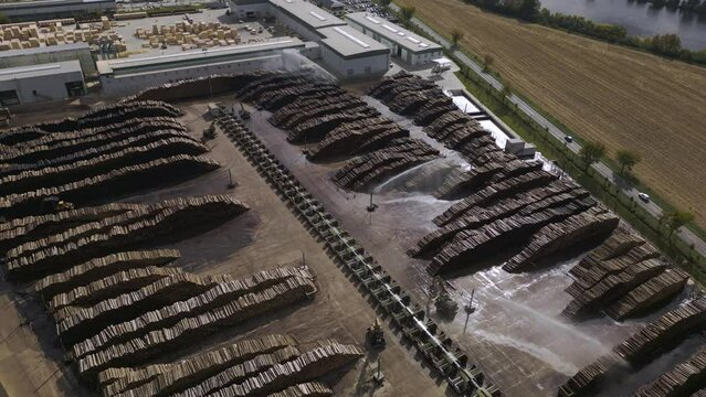 Aerial shot of the outdoor wood storage. Piles of logs, loaders straightening wood