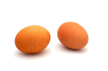 Deux oeufs bio entiers dans leur coquille isolés sur fond blanc