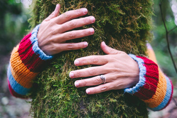 Human people hands hug embrace with love a green trunk with musk in the wild nature. Concept of...