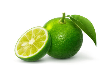 すだち 酢橘 イラスト リアル セット