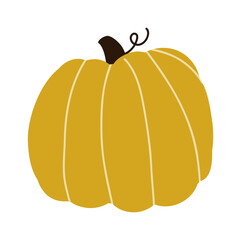 Autumn harvest. Pumpkin cozy illustration. Vector thanksgiving flat print