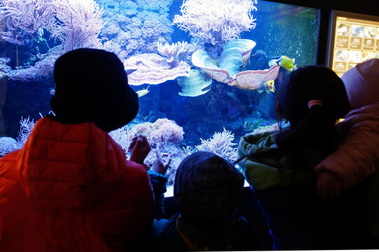 Mother with kids discovering and watching at fishes in aquarium zoo.