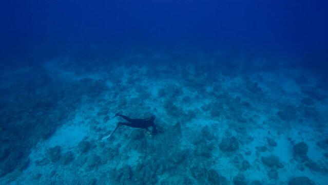 4K 120 fps Super Slow Motion: Free diver is swimming in coral reef of Caribbean Sea around Curacao