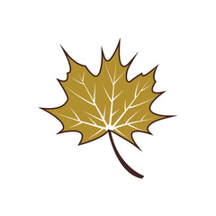 Fototapeta premium Maple leaf logo Template vector icon illustration design