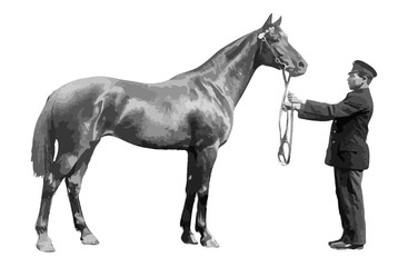 Fototapeta na wymiar a horse with a groom of the early 20th century