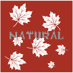 Maple leaf logo Template vector icon illustration design