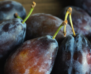 Ripe blue plums close-up
