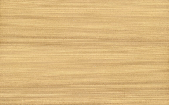 Natural Pine wood veneer texture seamless high resolution