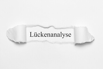 Lückenanalyse	