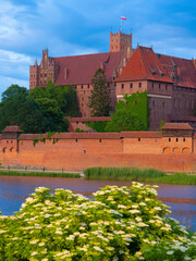 Naklejka na ściany i meble 2022-06-12. Castle of the Teutonic Knights Order in Malbork, Poland, is the largest castle in the world. Malbork Poland.