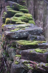 Moss on old drystone wall