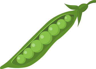 Fototapeta na wymiar Cartoon pea. Vegetable. Agriculture. Farming. Garden. Fresh vegetables. Pea icon. Open pea.