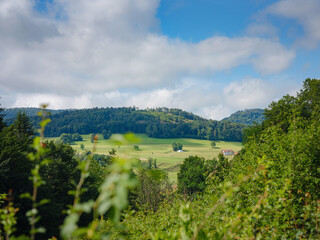 Fototapeta na wymiar Green european forest landscape. beautiful nature of Switzerland and France in summer time
