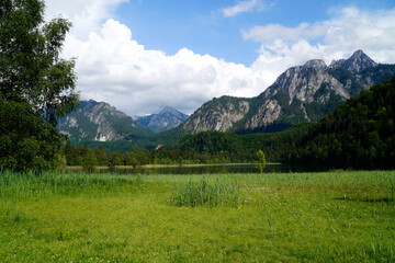 Fototapeta na wymiar emerald-green waters of alpine lake Schwansee in Fuessen with the Bavarian Alps and the lush green summer forest in the background, Schwangau, Fuessen, Bavaria, Germany