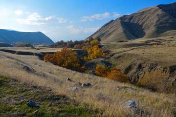 San Emigdio Canyon, Wind Wolves Preserve, Kern County 