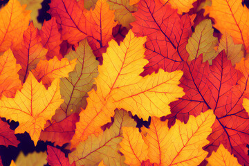 Fall Tree Leaves Autumn Color Seamless Texture Pattern Tiled Repeatable Tessellation Background Image