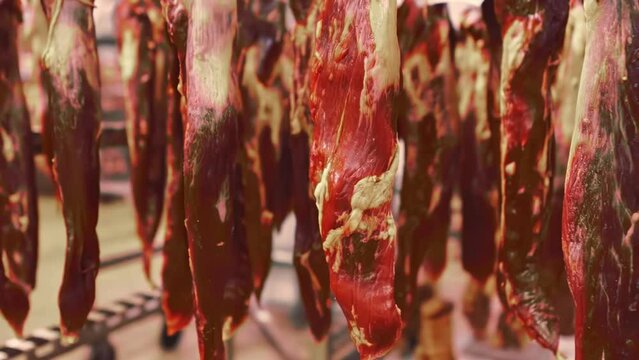 Pieces of raw beef pork with bacon are tied with rope and hung in dryer. Storage in warehouse. Industrial meat processing plant factory. Production technology. Food groceries. Closeup