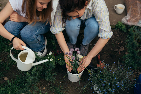 mother and daughter gardening flowers in backyard