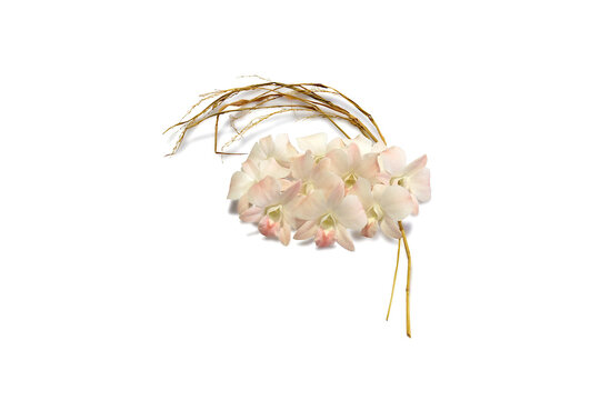 Isolated picture of orchids with heart-shaped rice straw on white background.