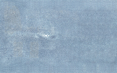 Light blue tanned shagreen stingray skin texture isolated