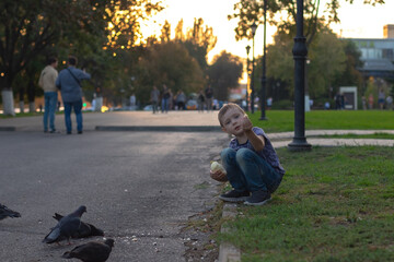 Fototapeta premium Cute little boy feeds pigeons on the street in sunny summer day.
