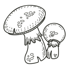 Mushroom doodle hand drawn icon. Champignon, amanita, porcini vector sketch.